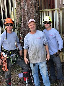 tree trimming service near me in Santa Rosa Beach Florida - Tree Removal Service Employees IMG
