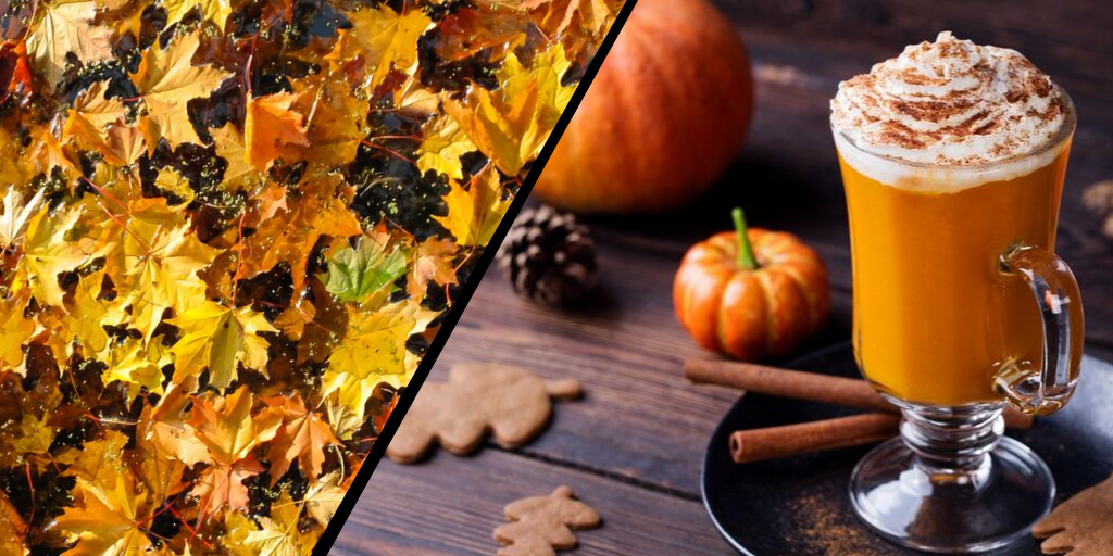 Autumn Leaves: The Original Pumpkin Spice