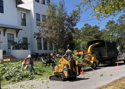 Trees4Sure crew feeding branches into the wood chipper