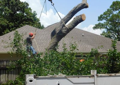 Careful limb removal directly above a customer's roof