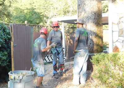 Trees4Sure team gearing up with safety equipment before a job