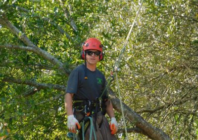 Trees4Sure crew member in helmet and safety gear